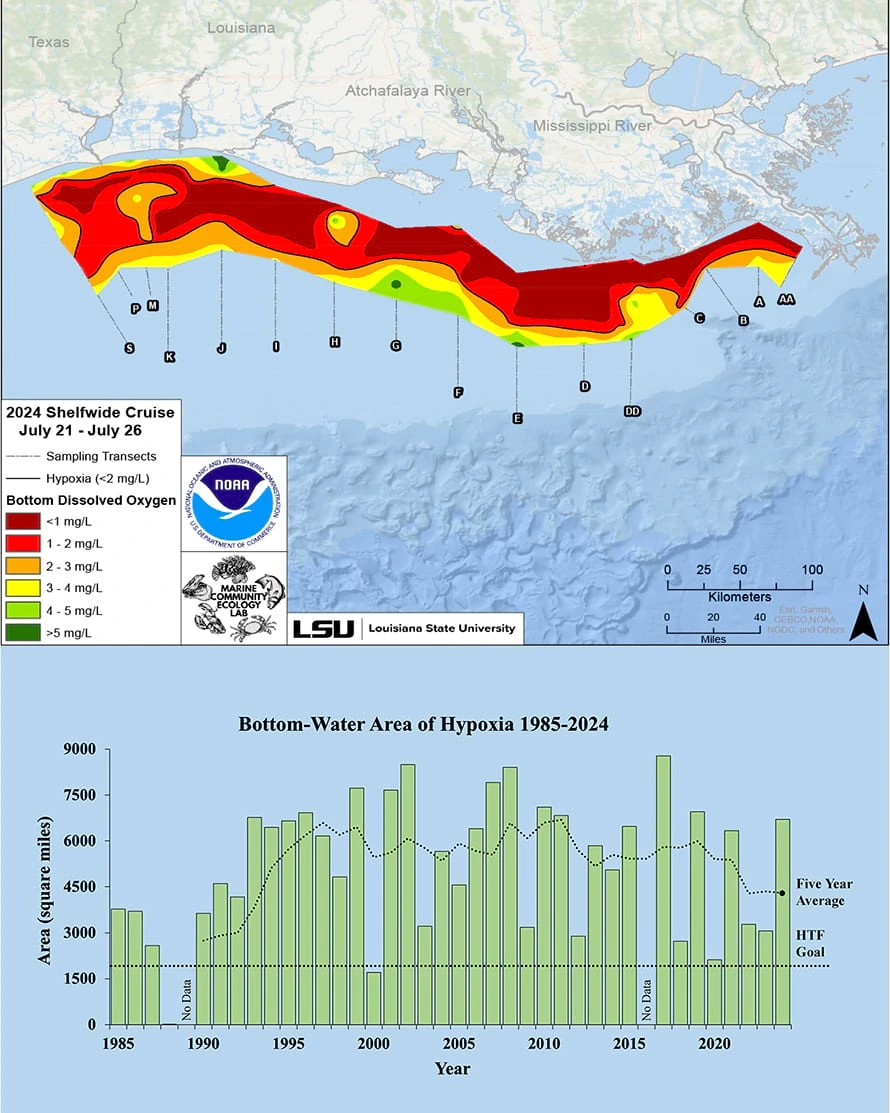 What is the Gulf of Mexico "Dead Zone" map and diagram