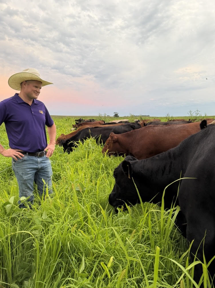 Ross Kurash with his cows