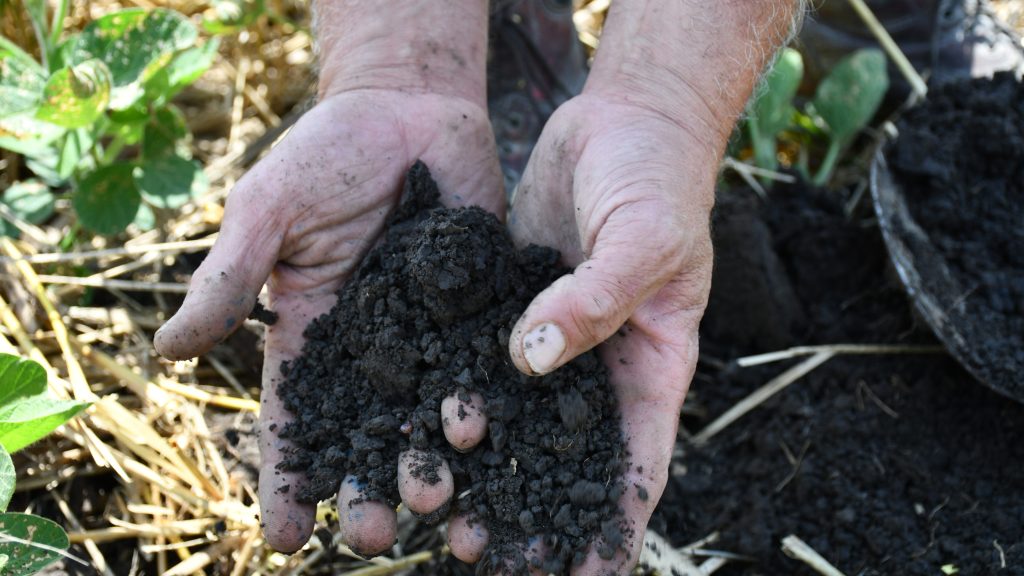 Hands digging into soil