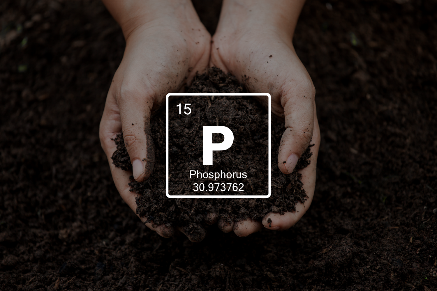 phosphorus element symbol