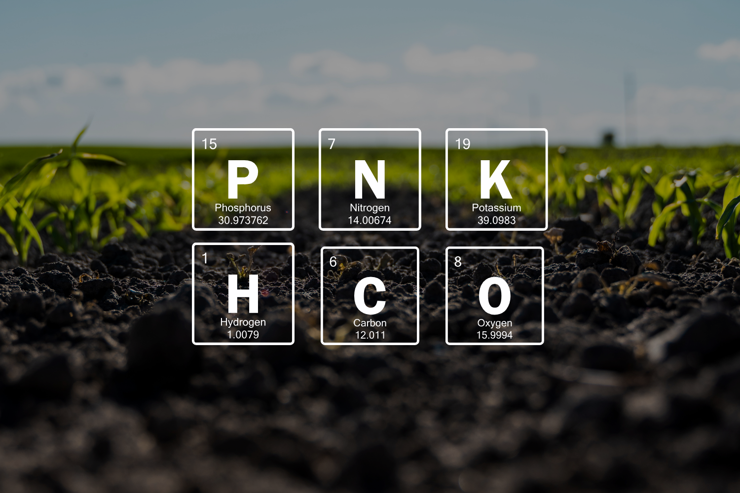 element symbols for P, N, K, H, C, O