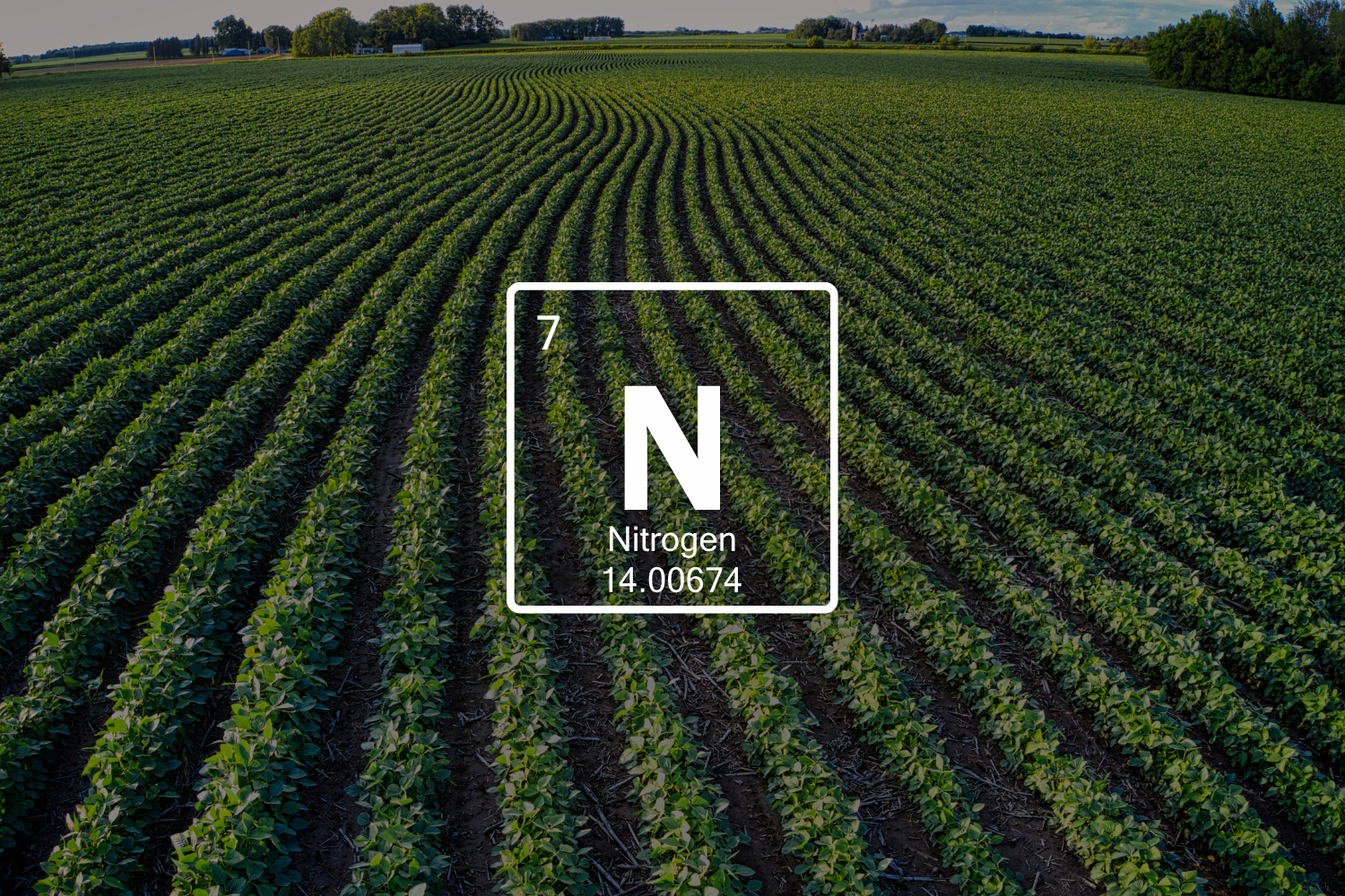 symbol for N element overlayed on field