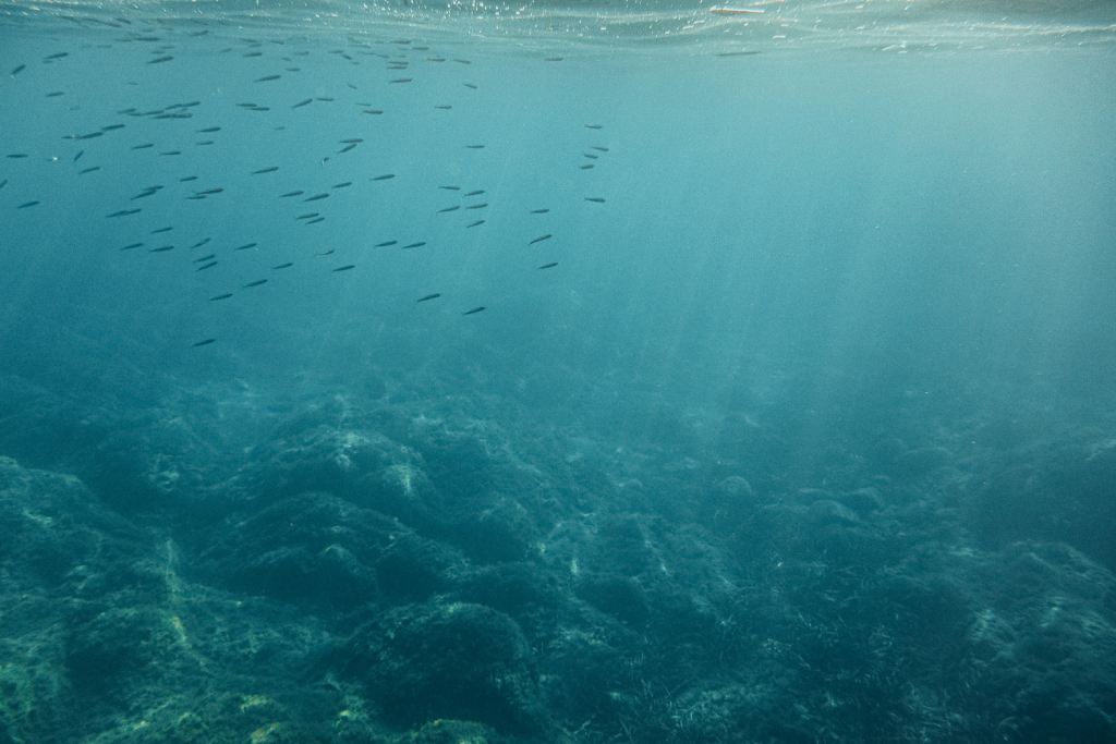 ocean floor with light shining down