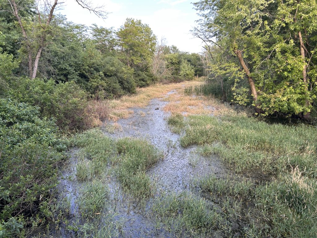 oxbow partially filled with water