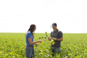 Conservation agronomists: the bridge between farm sustainability and profitability