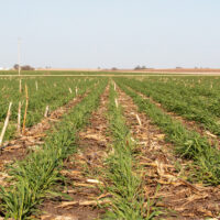 Farmer leadership shines in NW Iowa