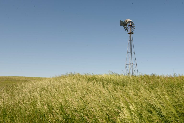 CRP with blue skies and windmill