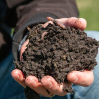 Some soil health gains can happen fast