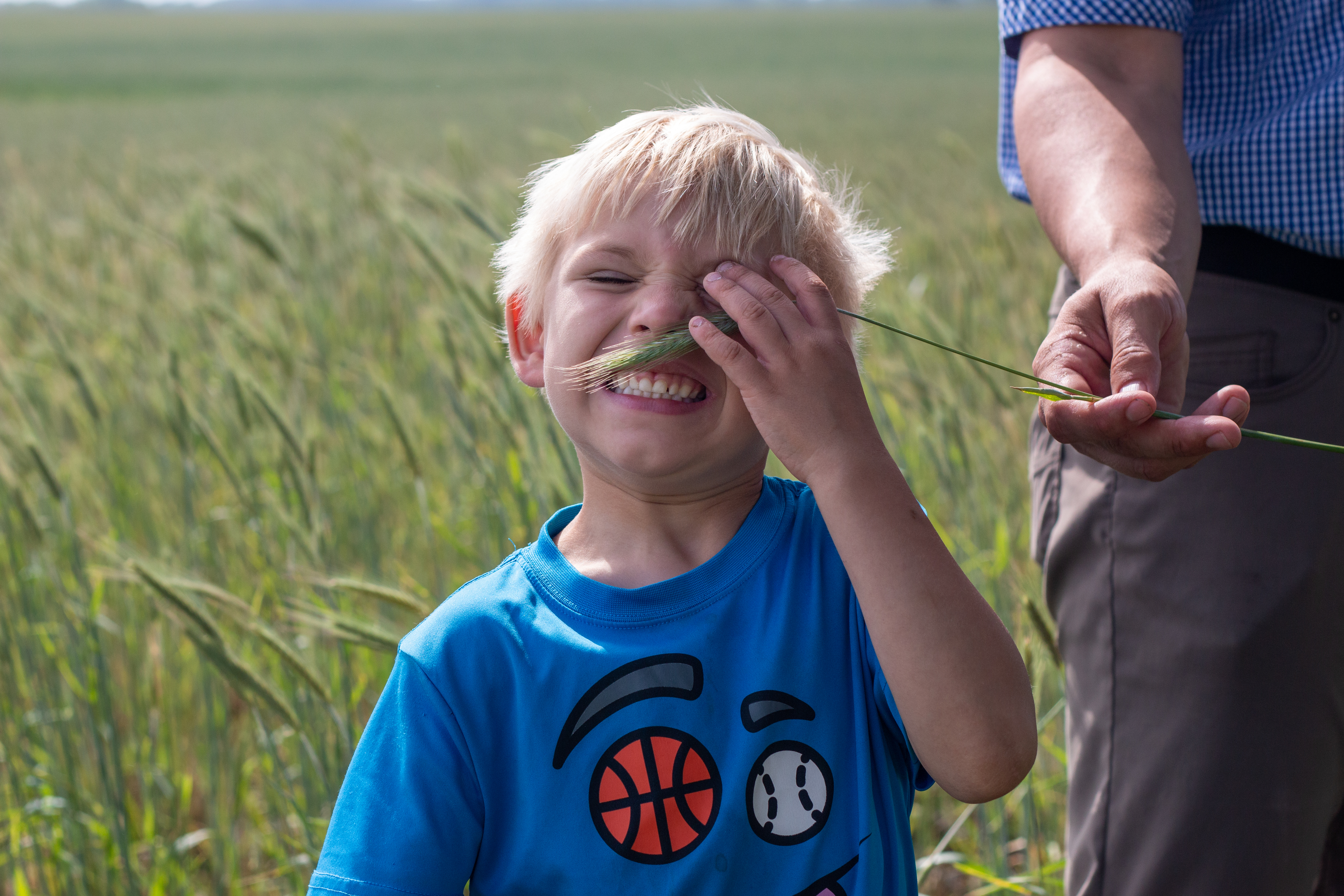 boy in field with rye