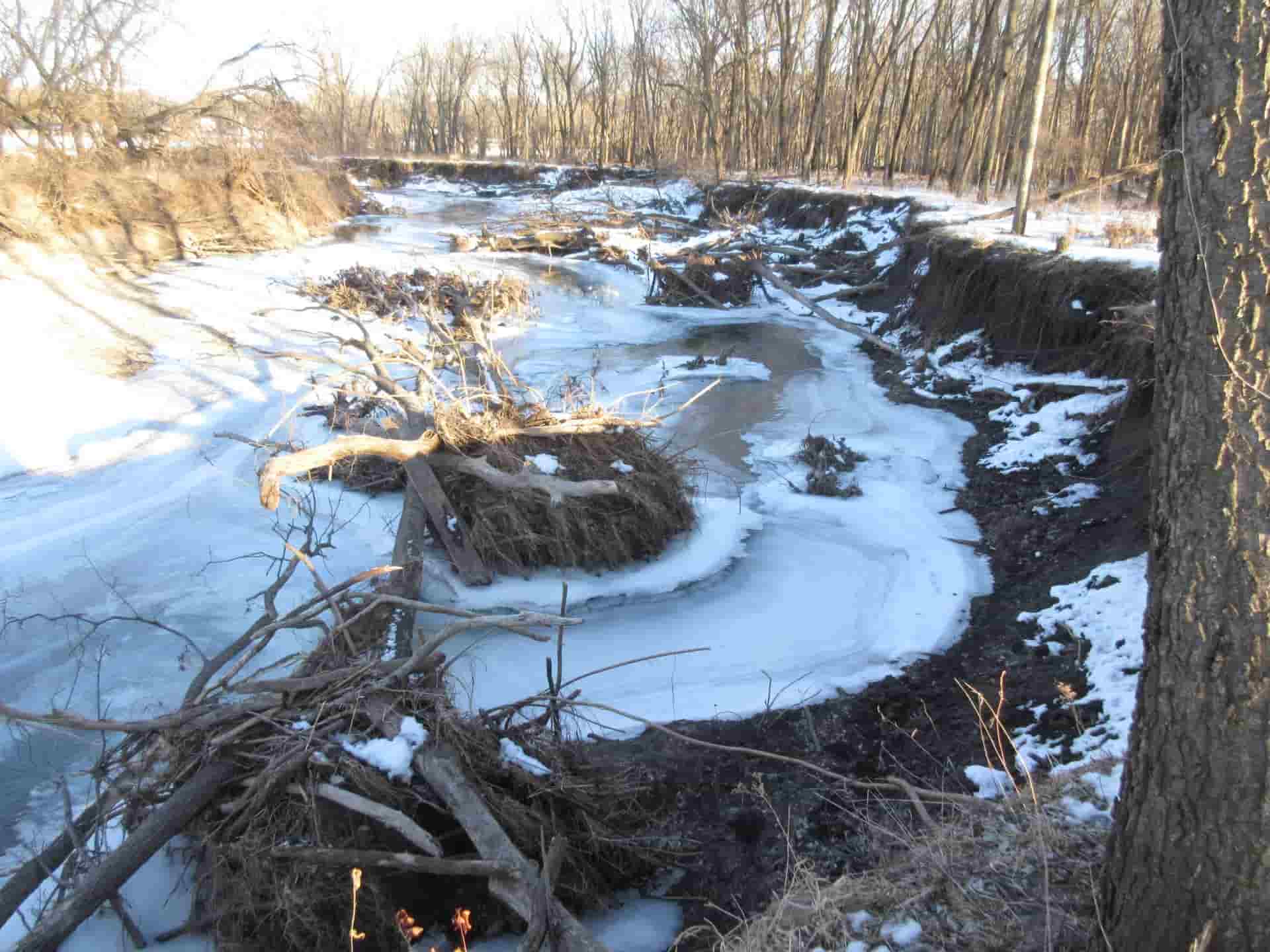"Before" picture: Snow over an impacted stream with broken trees