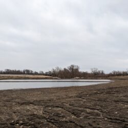 wetland surrounded by black dirt in winter