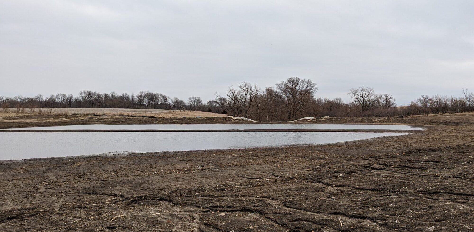 wetland surrounded by black dirt in winter