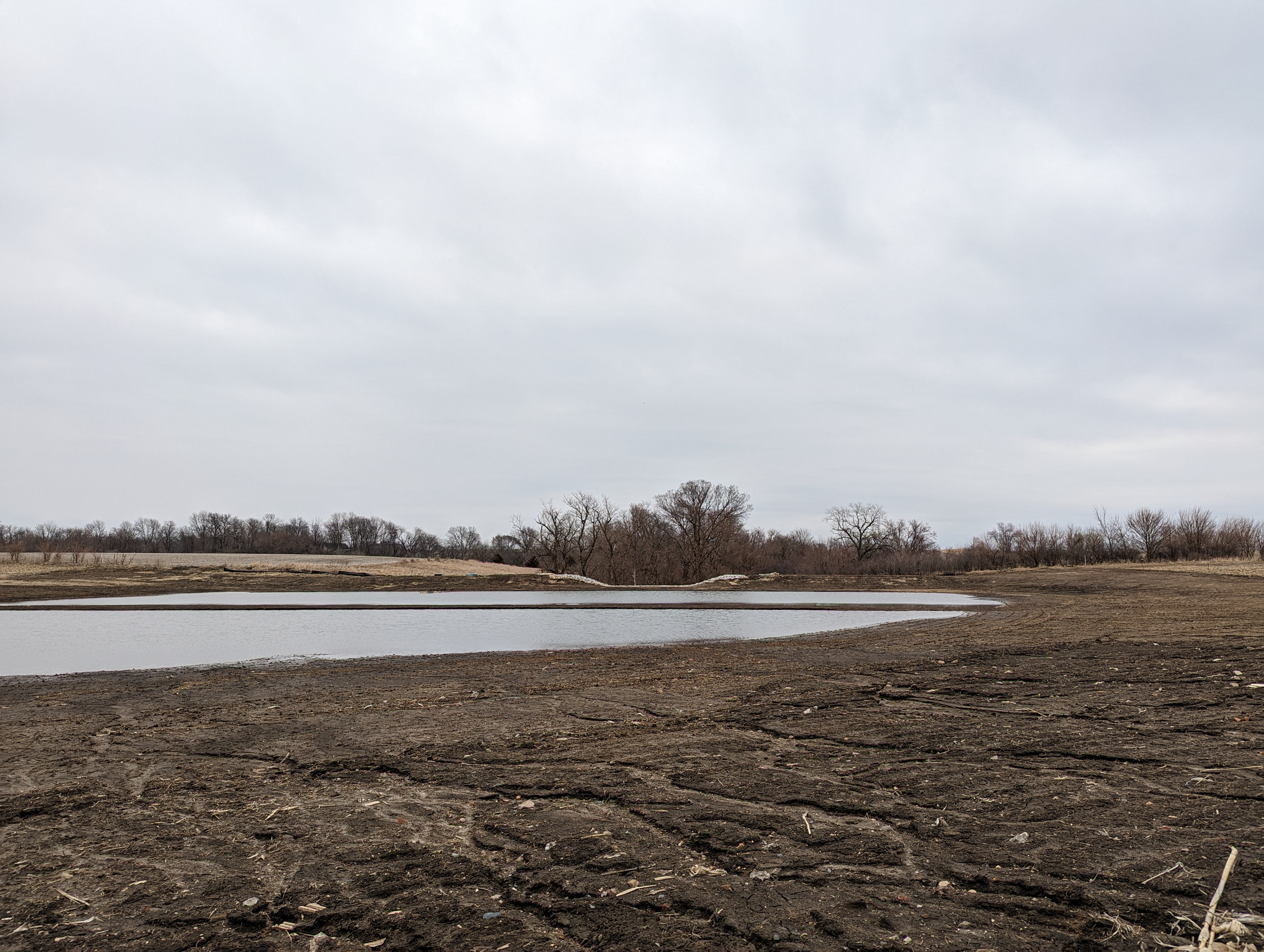 wetland surrounded by black dirt in winter