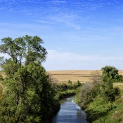 Stream Buffer in Iowa