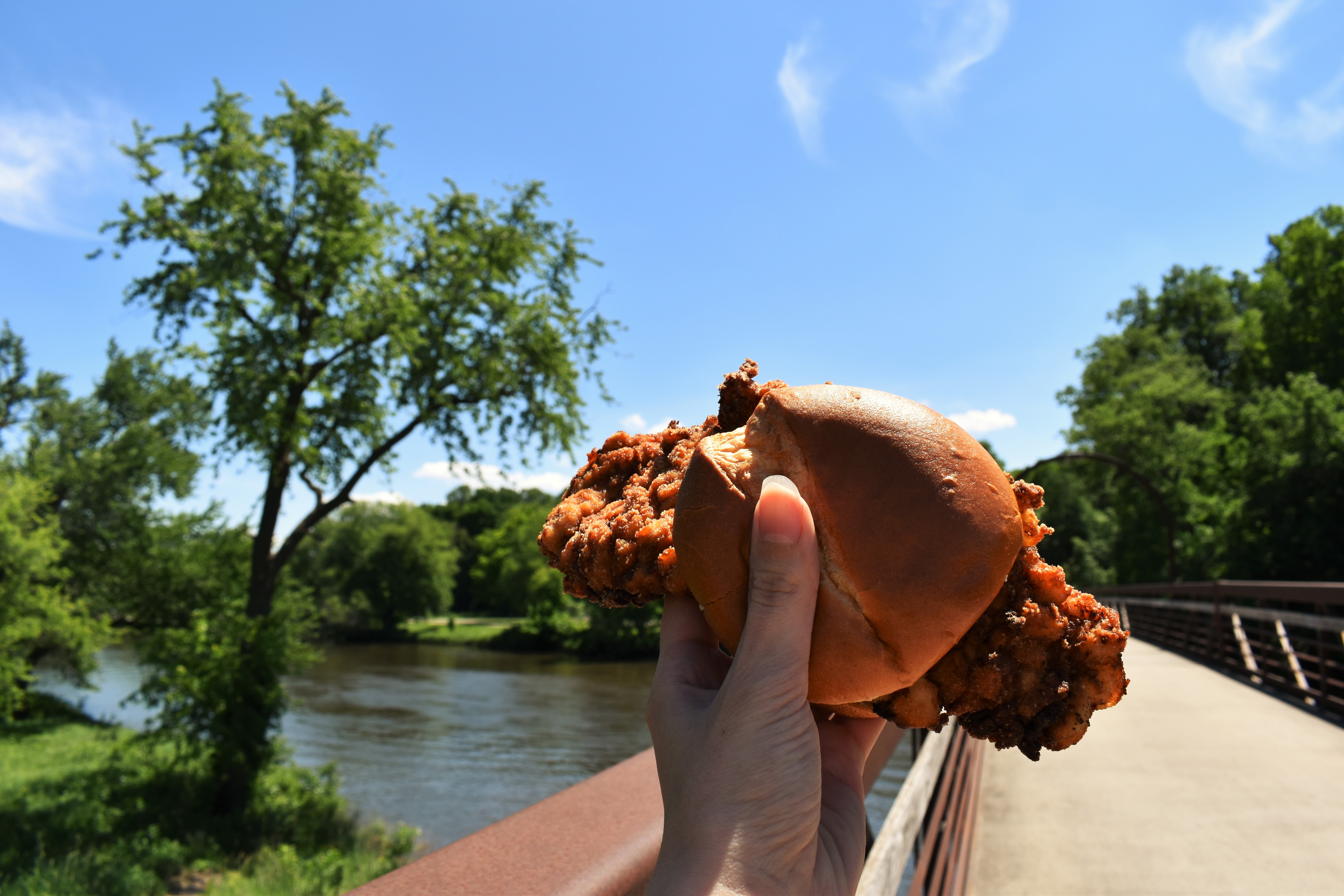 A hand holding a tenderloin on a bridge in a scenic park. 