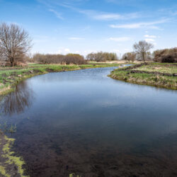 oxbow with green grass around it