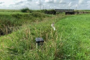 Polk County achieves quicker farmland nitrate reduction, spreads success to other counties