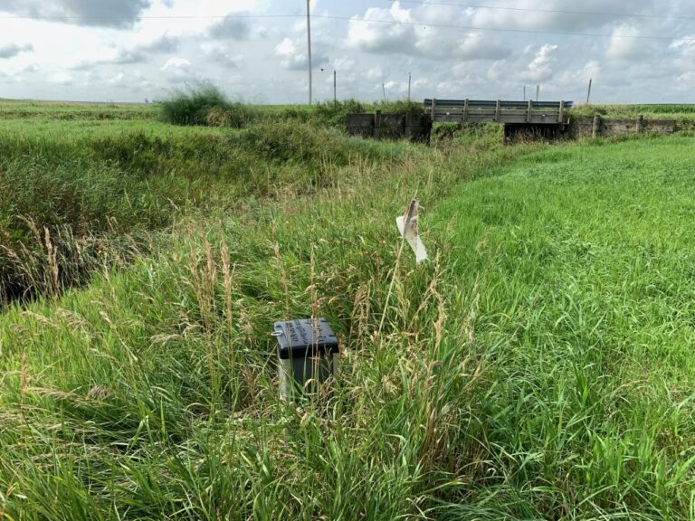 Saturated buffer along the edge of a field